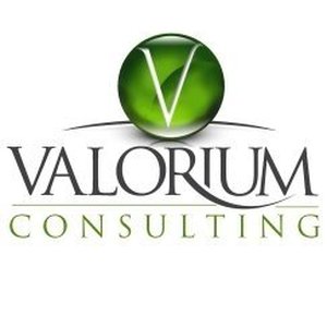 Volarium consulting